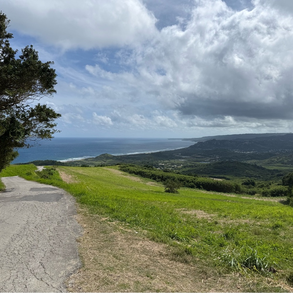 Meet your Posher, Meredith